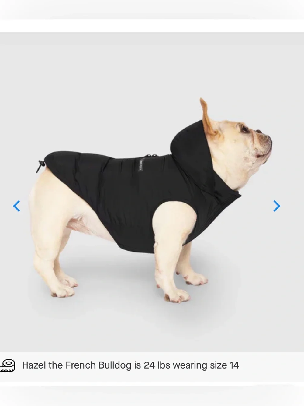 NWOT Canada Pooch Black Waterproof Puffer Size 14+
